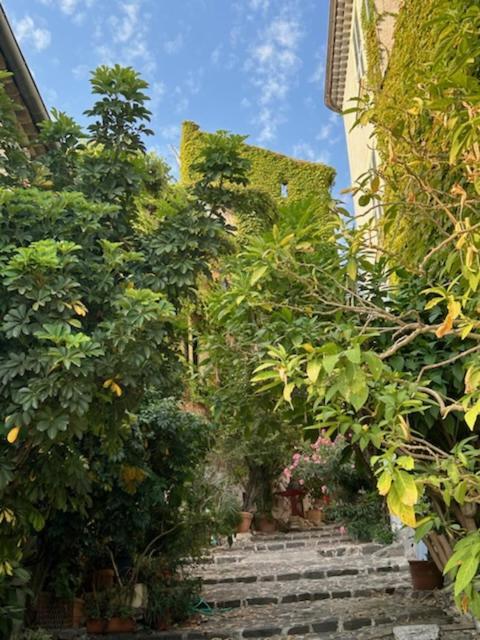 - Place Des Arcades Apartment Biot